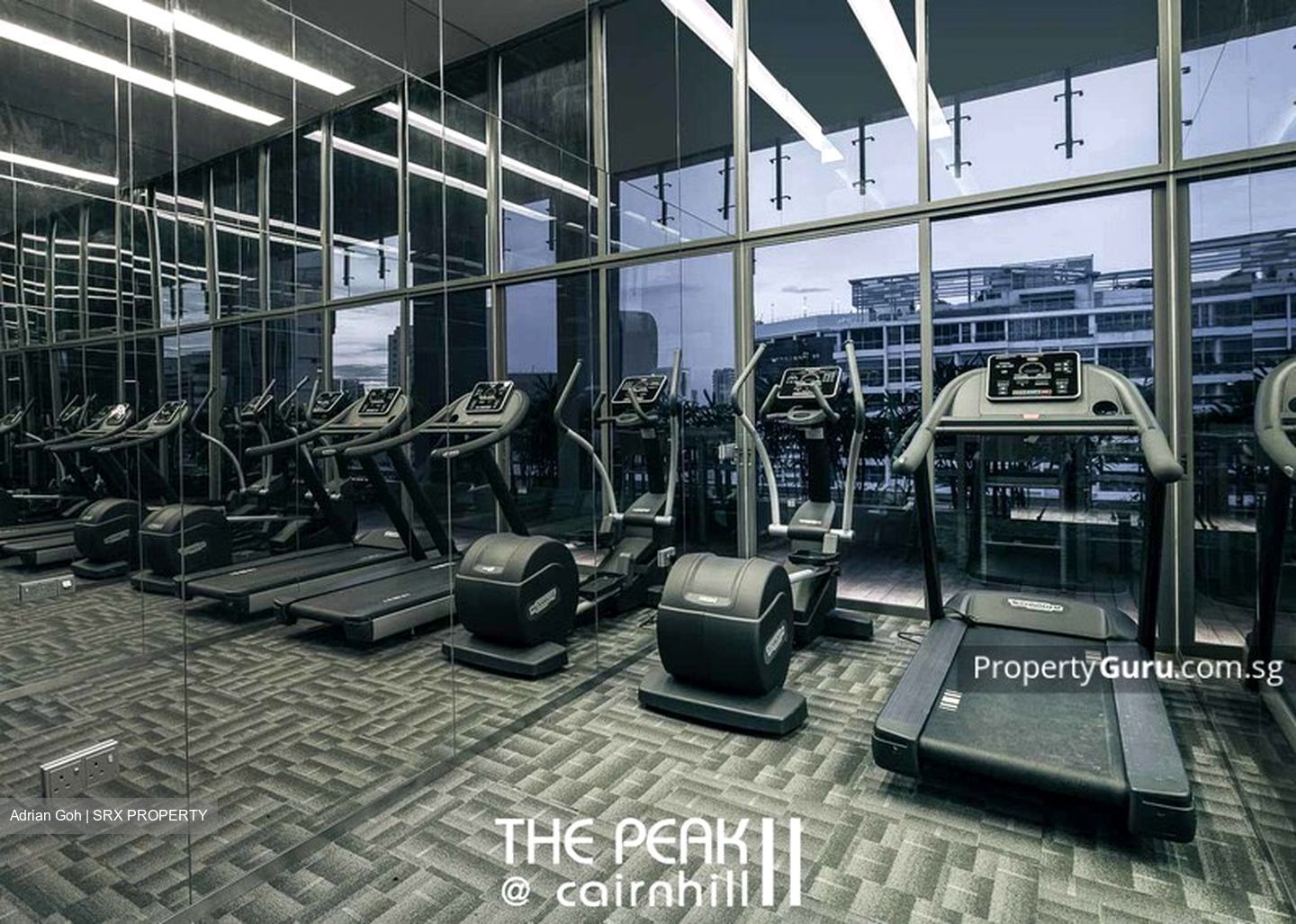 The Peak @ Cairnhill II (D9), Apartment #308100111